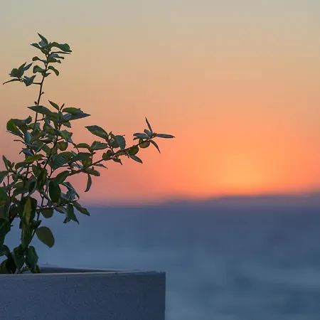 Hotel Castello Boutique By The Sea - Adults Only